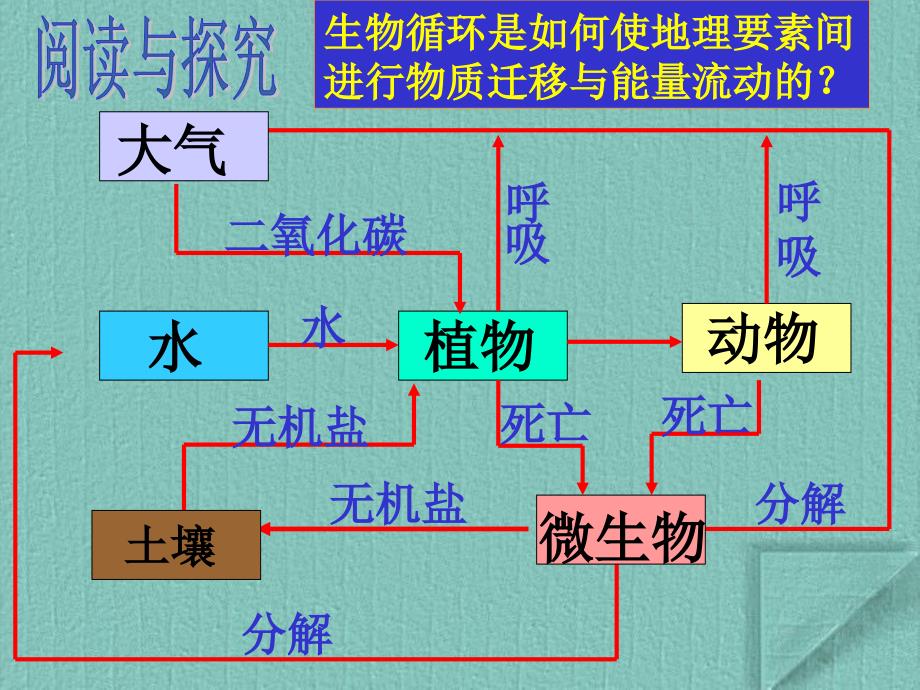 地理环境的整体性_第4页