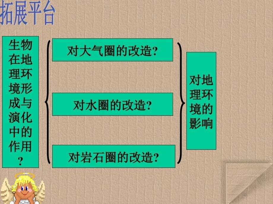 地理环境的整体性_第5页