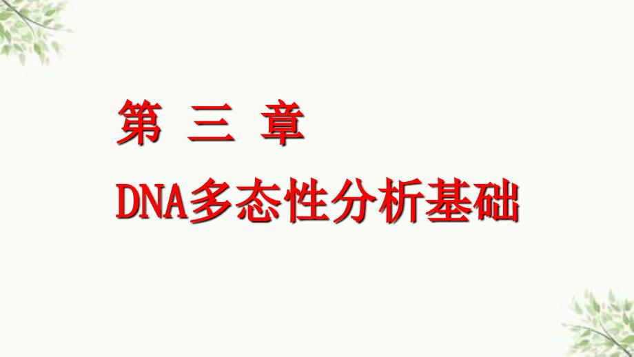 DNA多态性分析基础ppt课件_第1页