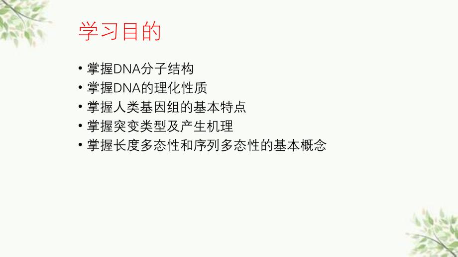 DNA多态性分析基础ppt课件_第2页