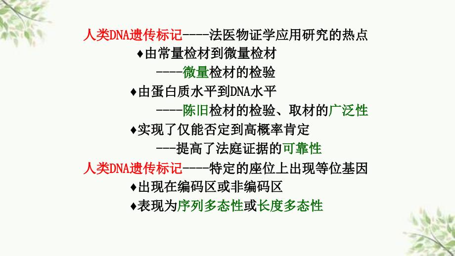 DNA多态性分析基础ppt课件_第3页