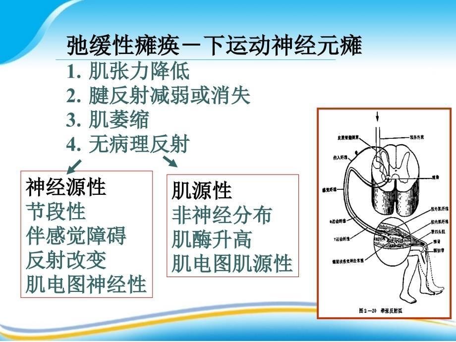 神经病学课件：神经内科肌病_第5页