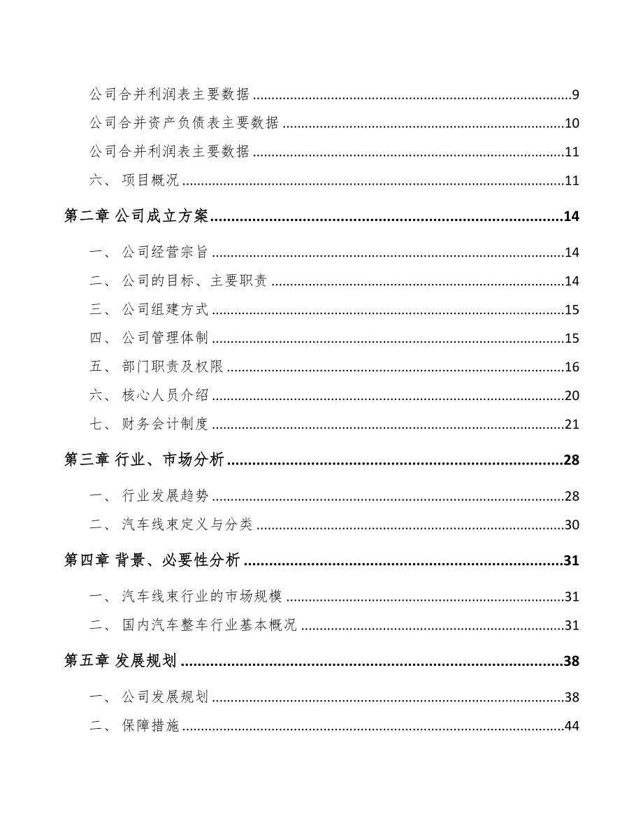 北海关于成立汽车线束公司可行性研究报告(DOC 82页)_第3页