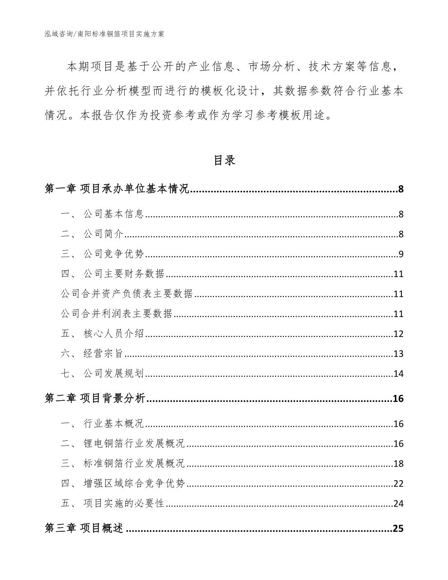 南阳标准铜箔项目实施方案_参考模板_第2页