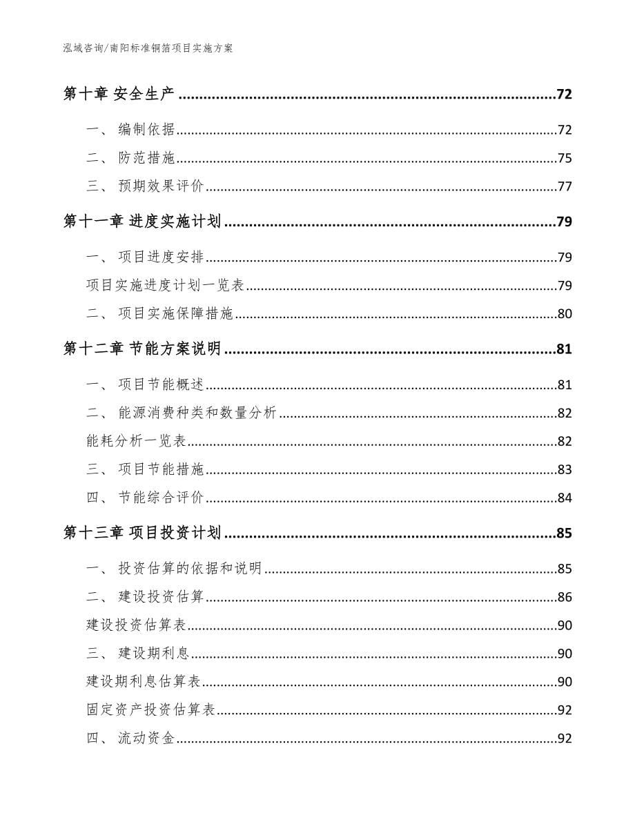 南阳标准铜箔项目实施方案_参考模板_第5页