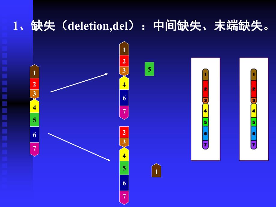 染色体疾病的诊断二.ppt_第2页