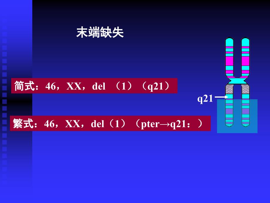 染色体疾病的诊断二.ppt_第4页