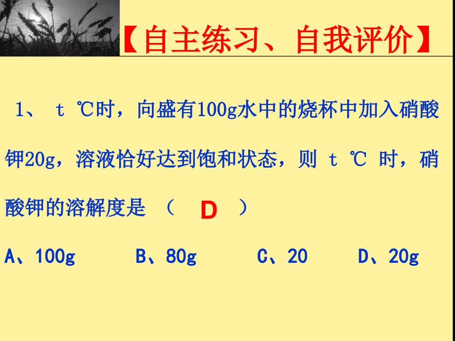 九年级化学溶解度课件1_第4页