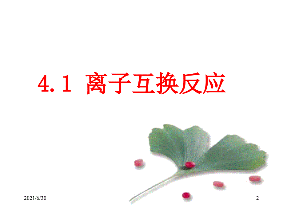 4.1离子互换反应d_第2页