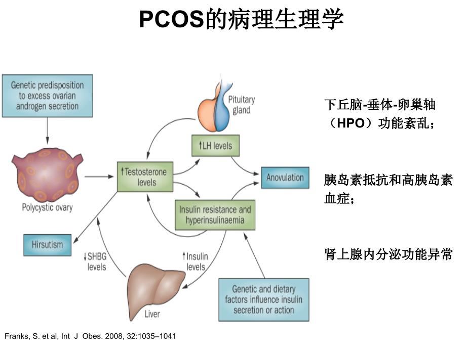 青春期多囊卵巢综合征诊治共识优秀课件_第3页