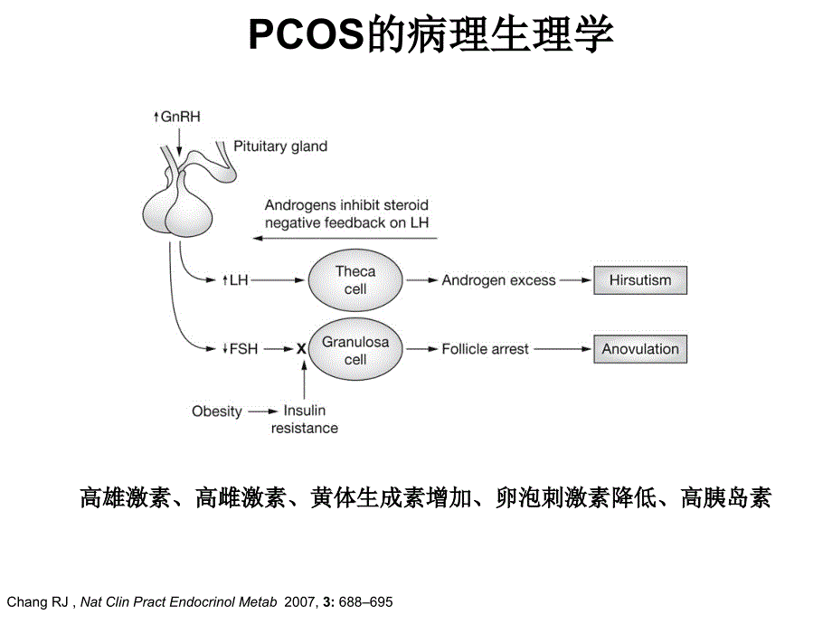 青春期多囊卵巢综合征诊治共识优秀课件_第4页