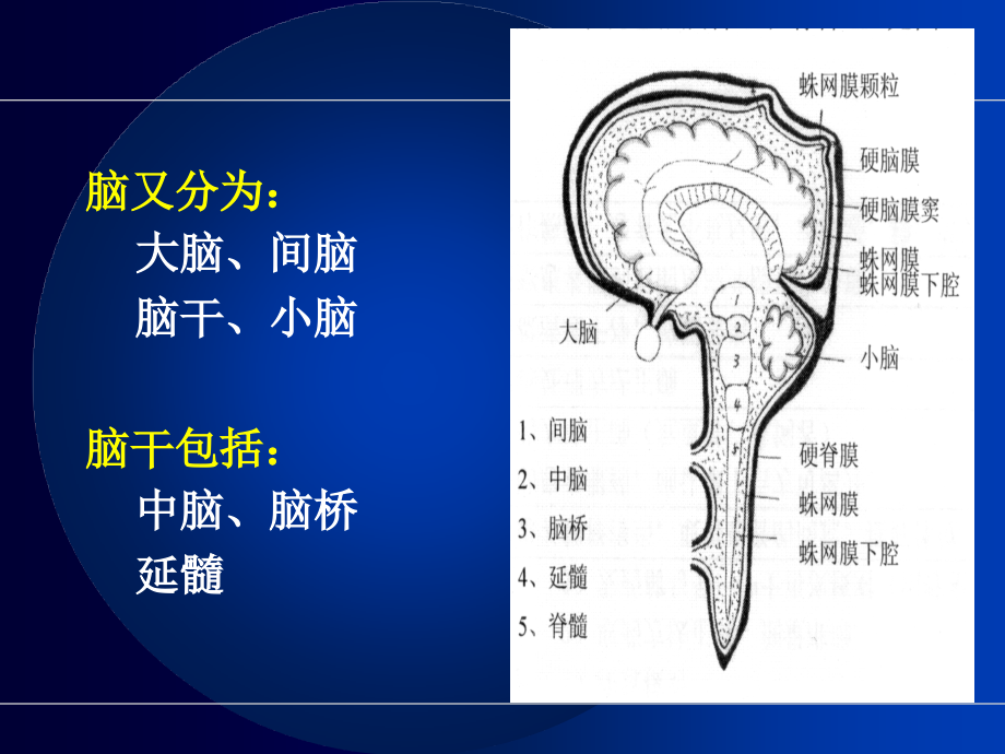 神经系统疾病病人护理ppt课件_第4页