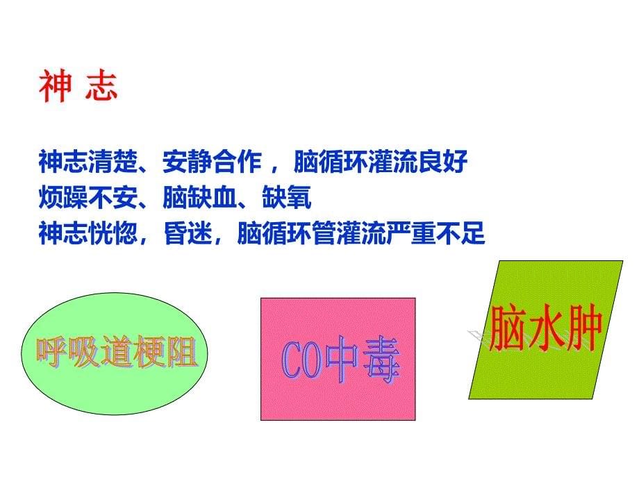 大面积烧伤患者休克期补液治疗_第5页