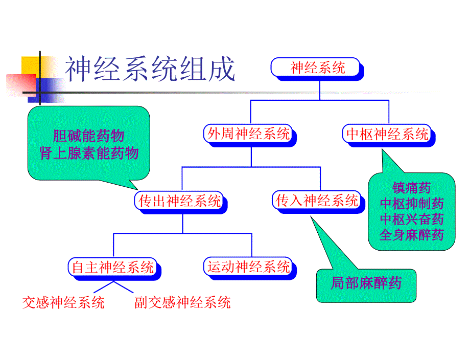 肾上腺素能受体作用药_第2页