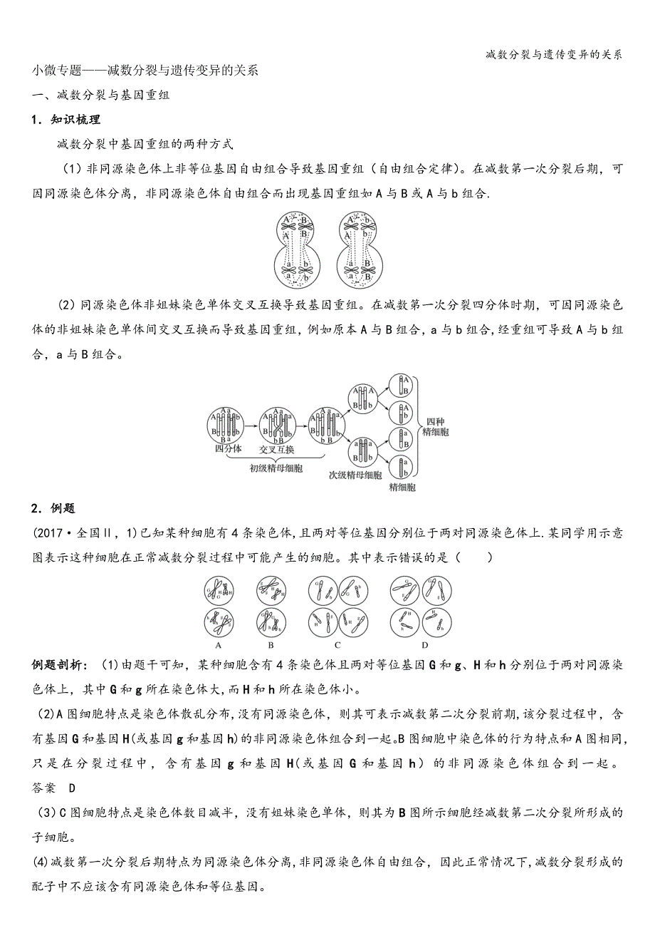 减数分裂与遗传变异的关系_第1页