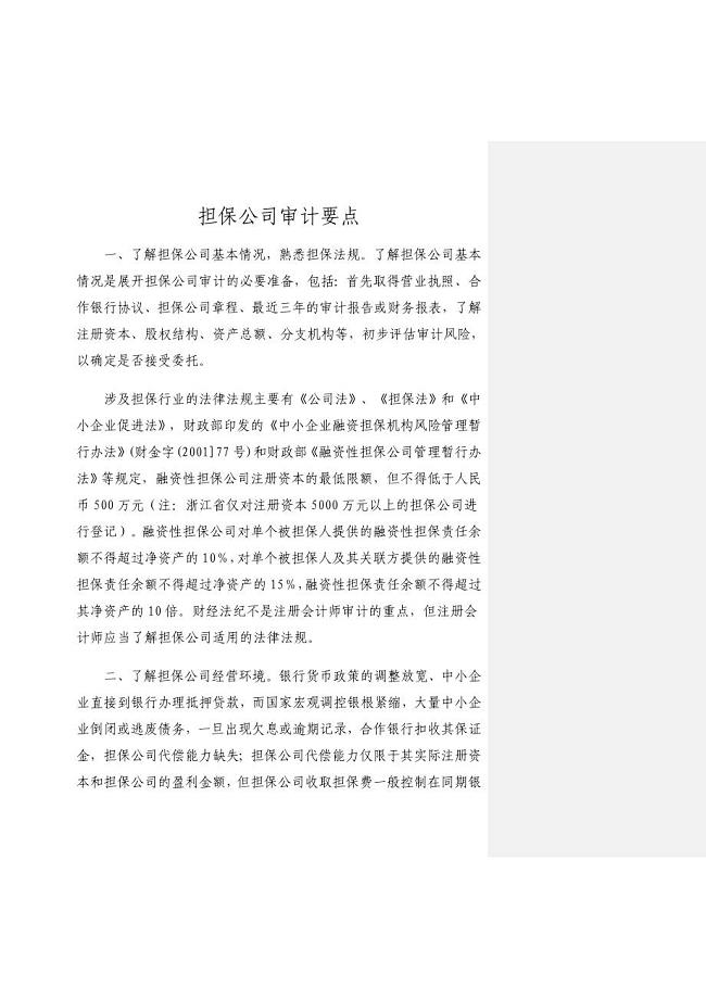 担保公司审计要点