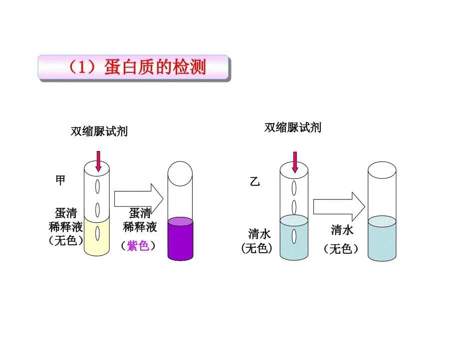 第1节人类的食物_第5页