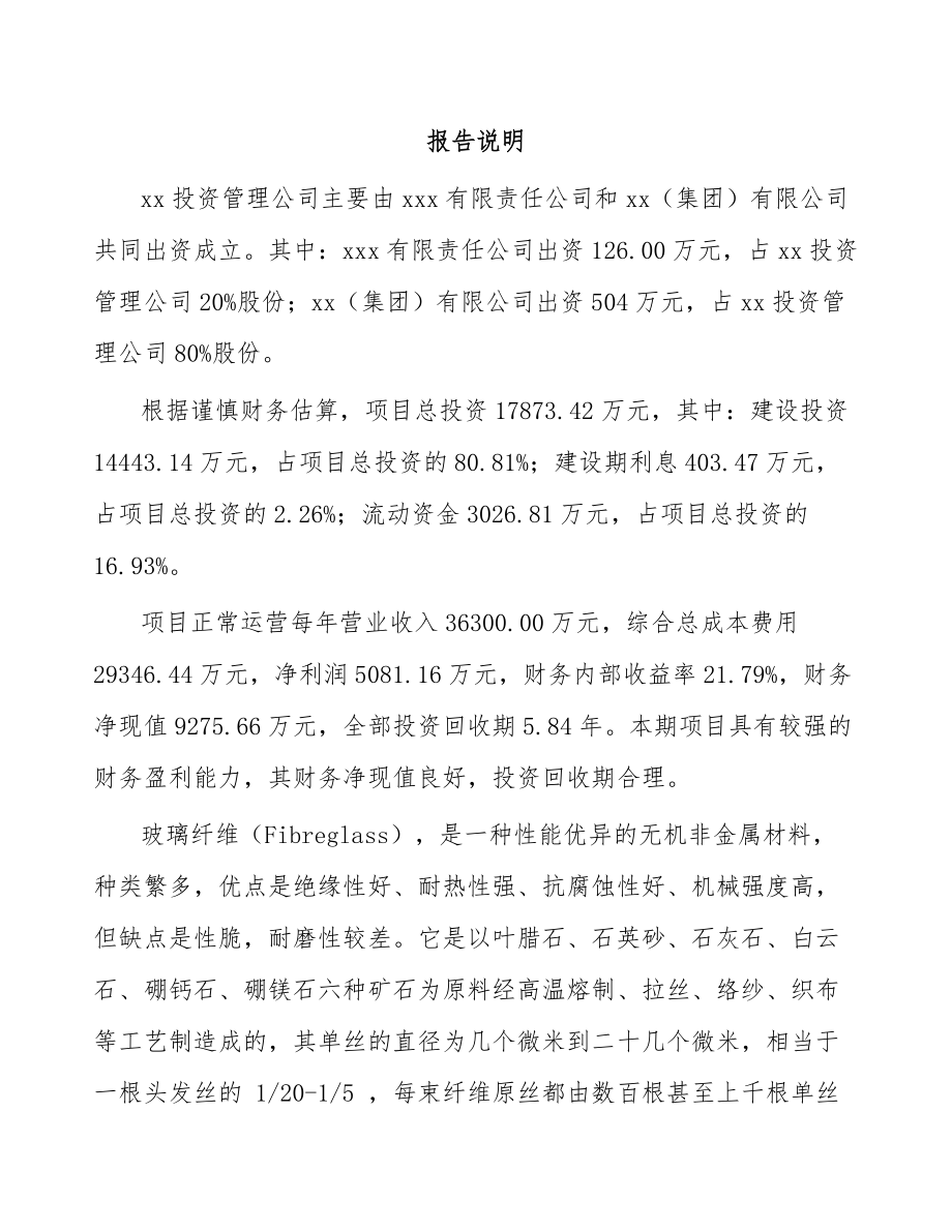 关于成立玻璃纤维公司可行性报告-(16)_第2页