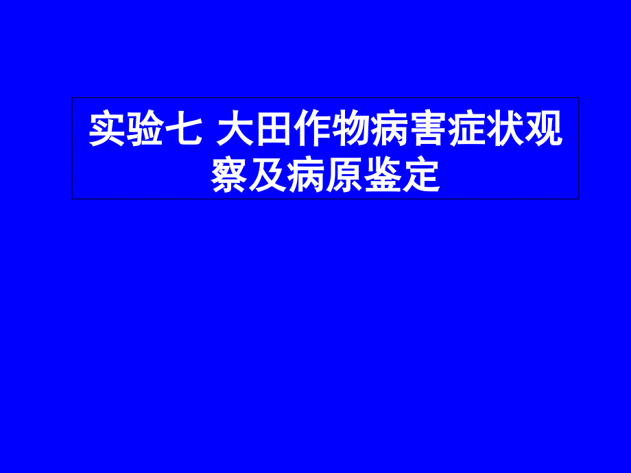 大田作物病害症状观察及病原鉴定_第1页
