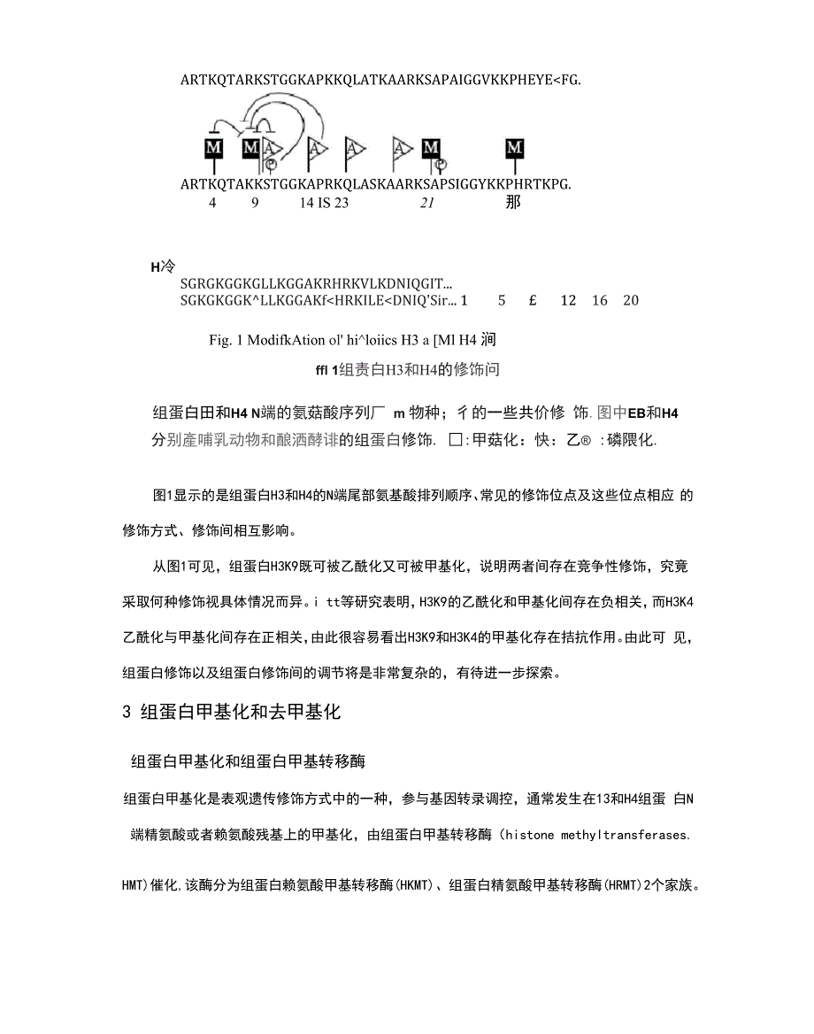 个人整理：组蛋白甲基化在真核基因中的调控作用_第2页