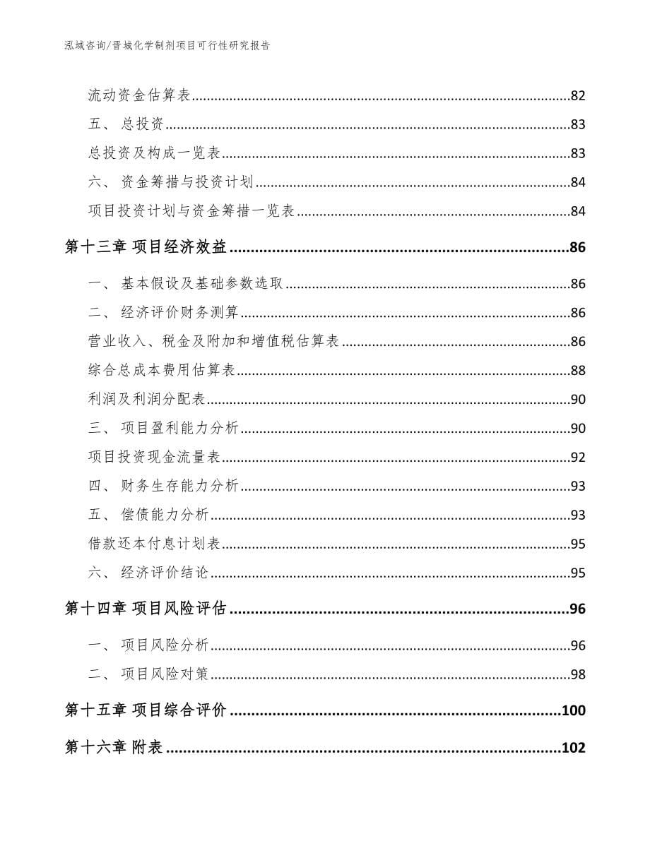 晋城化学制剂项目可行性研究报告_范文_第5页