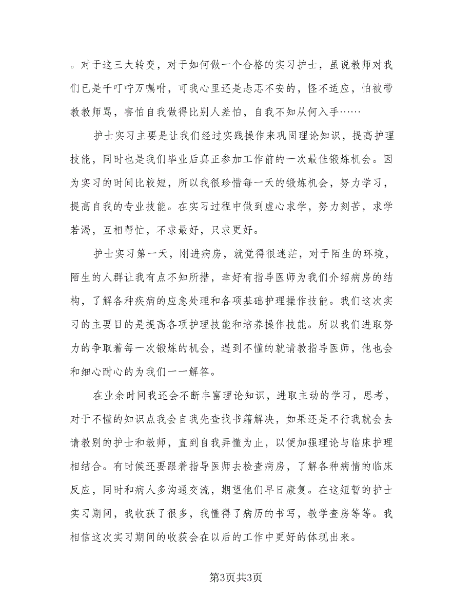 2023大四护理实习总结心得样本（二篇）.doc_第3页