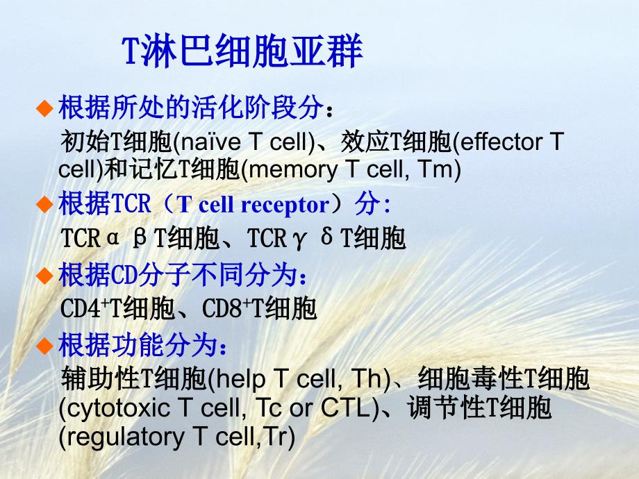 γδ T细胞简介教学文稿_第2页