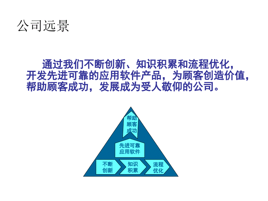 xx软件公司发展战略2_第3页