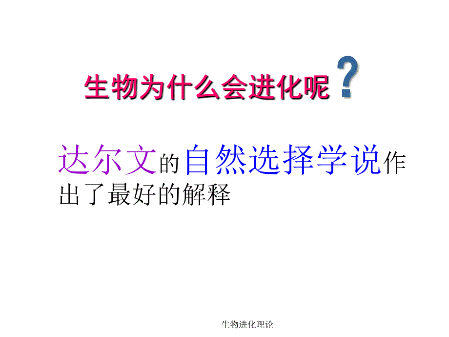 生物进化理论课件_第3页