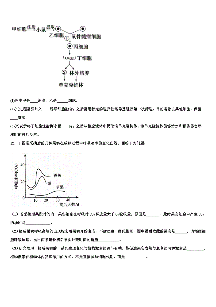 2023年河南省安阳市林虑中学高二生物第二学期期末综合测试模拟试题（含解析）.doc_第4页