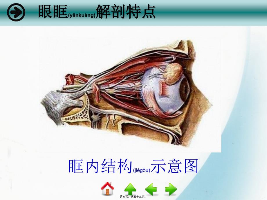 医学专题—眼眶病1_第4页