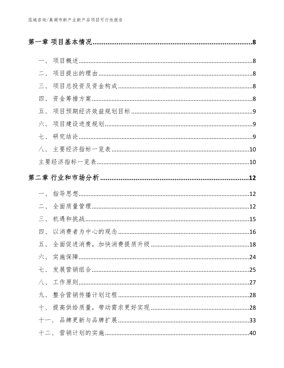 巢湖市新产业新产品项目可行性报告_第4页