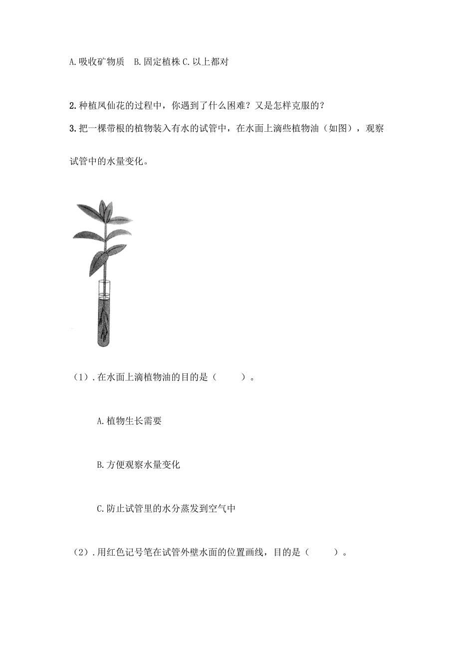 教科版科学四年级下册第一单元《植物的生长变化》测试卷精品(模拟题).docx_第5页