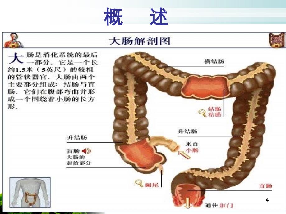 优质医学结肠癌化疗护理查房_第4页