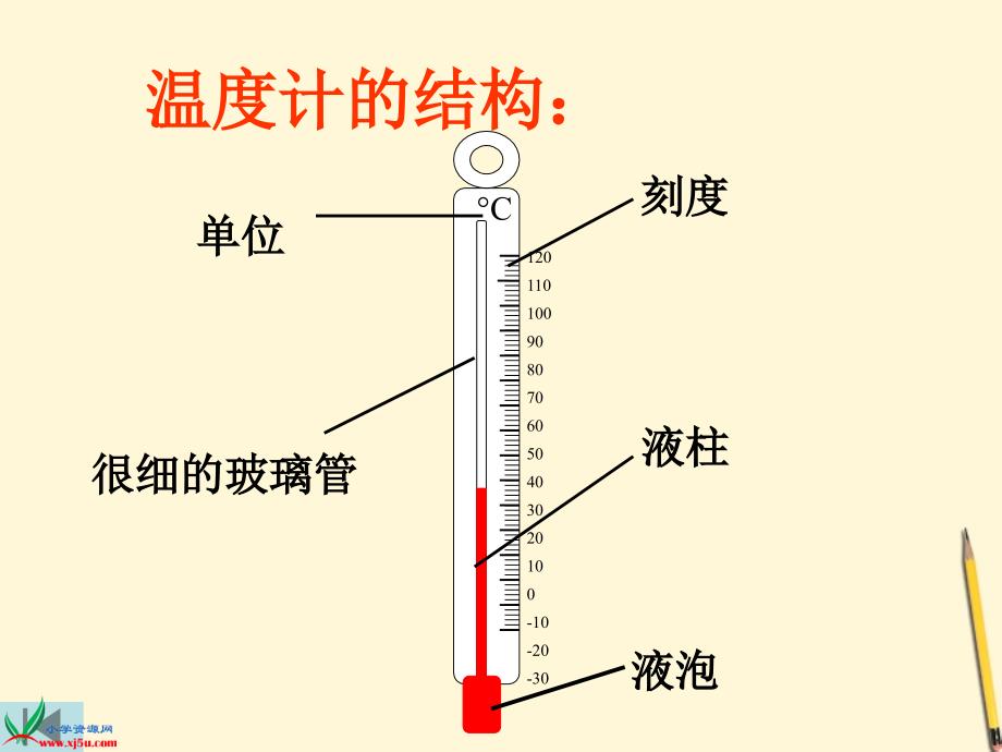 三年级科学下册水结冰了3课件教科版_第4页