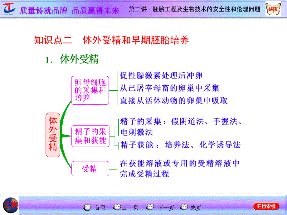 高三生物一轮复习课件第三讲胚胎工程及生物技术的安全性和伦理问题_第4页