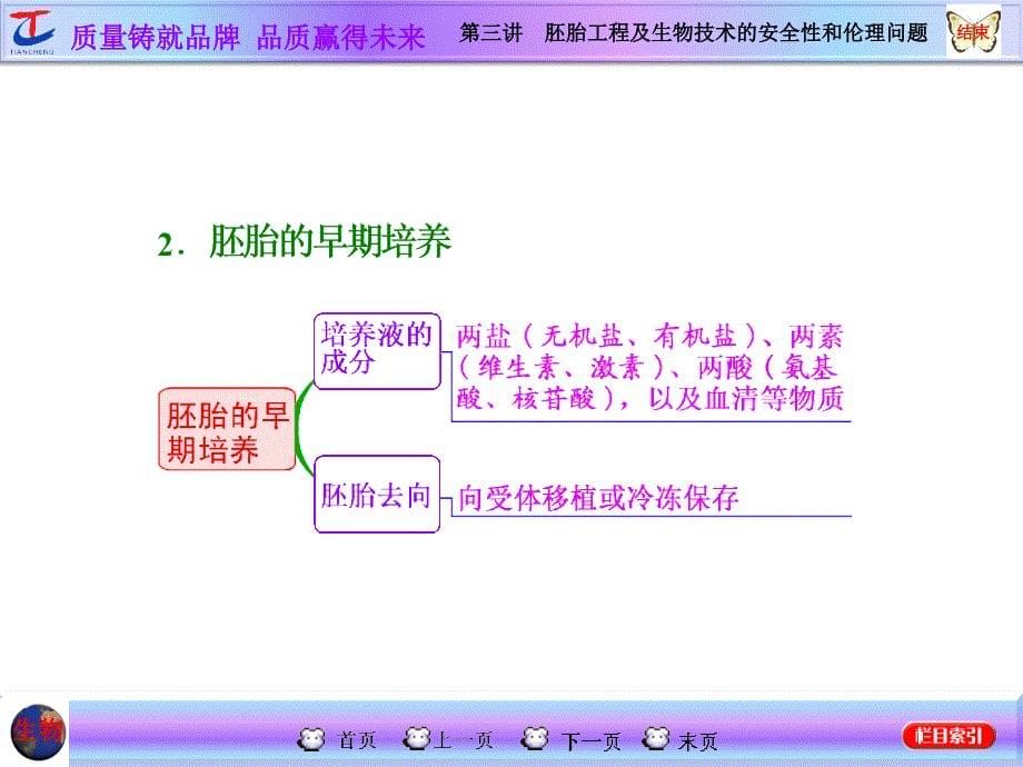 高三生物一轮复习课件第三讲胚胎工程及生物技术的安全性和伦理问题_第5页