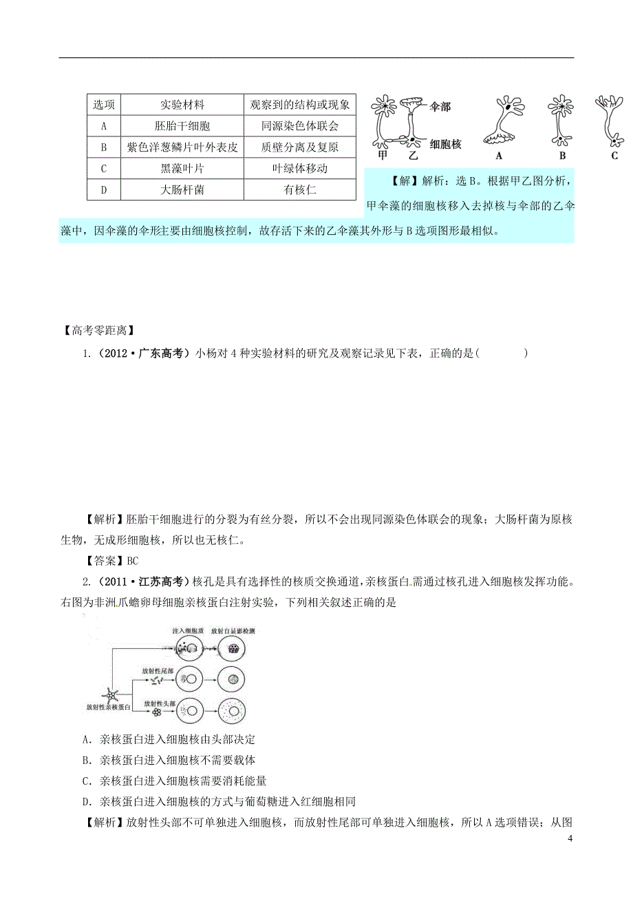 2013版高考生物一轮精品复习33细胞核系统的控制中心学案新人教版必修1_第4页