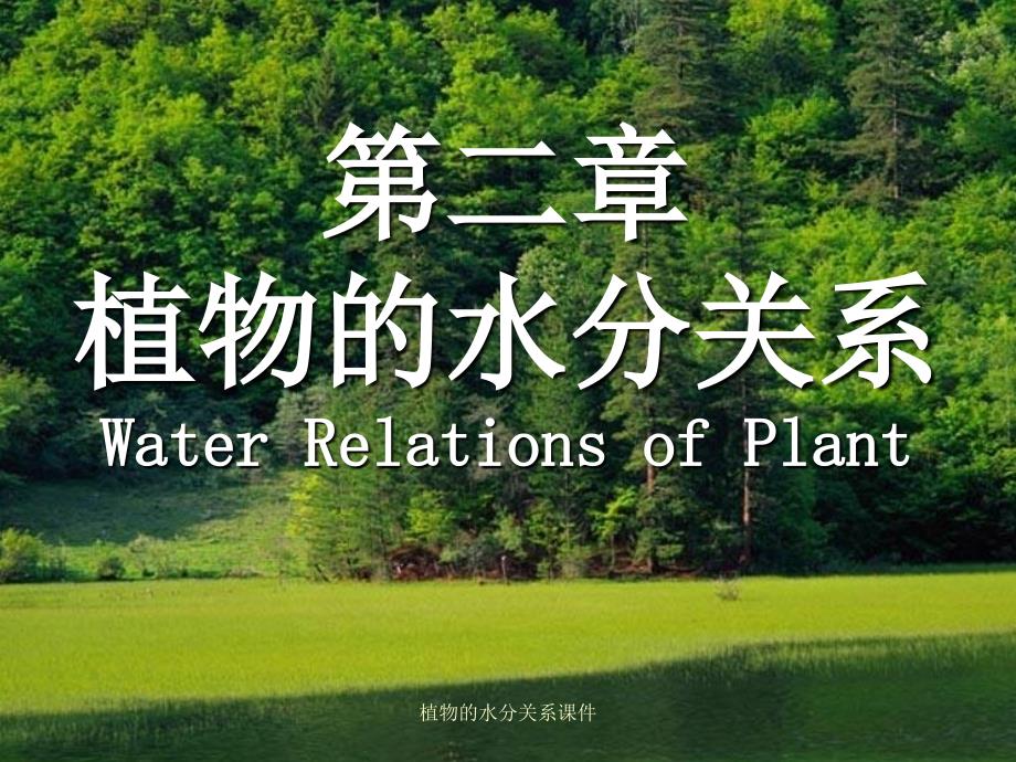 植物的水分关系课件_第1页