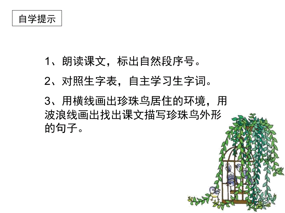 苏教版四年级上册语文21珍珠鸟PPT幻灯片_第3页