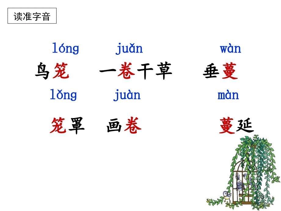 苏教版四年级上册语文21珍珠鸟PPT幻灯片_第5页