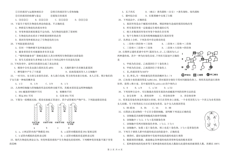 高一下学期期末考试(生物.doc_第2页