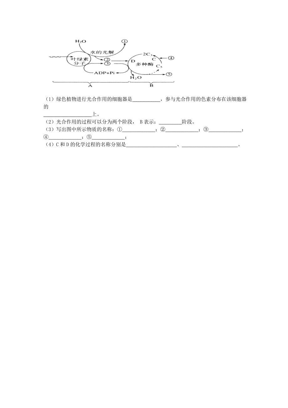 辽宁省抚顺县高中2010-2011学年高二生物上学期期中考试.doc_第5页