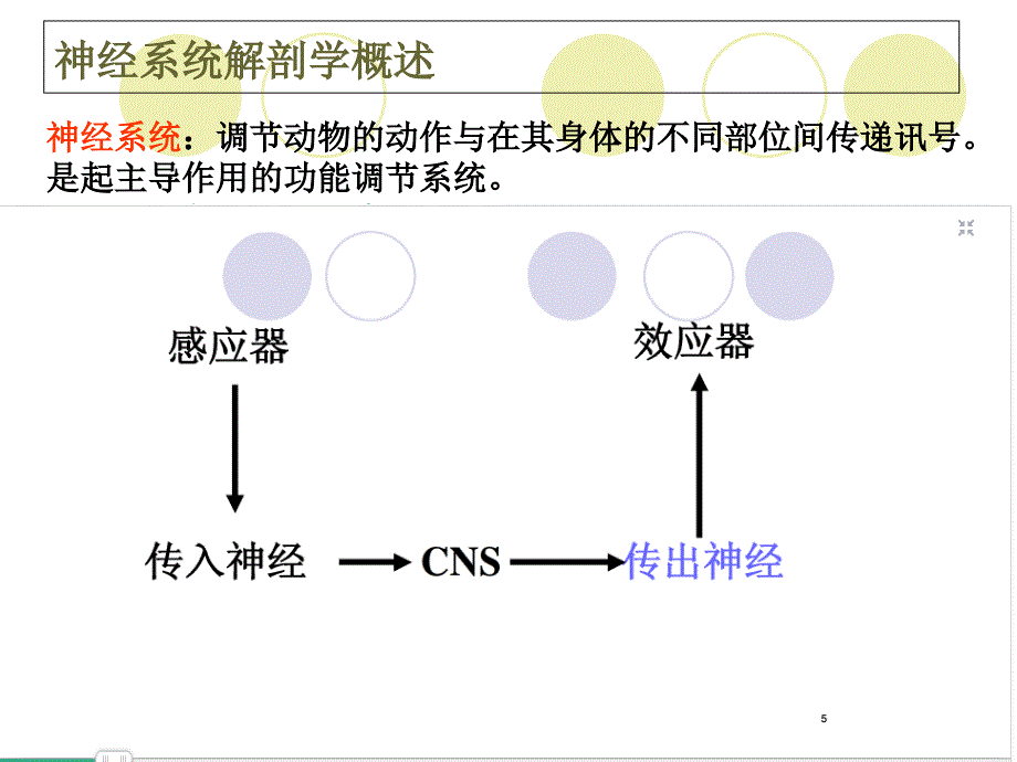 传出神经系统药汇总_第2页