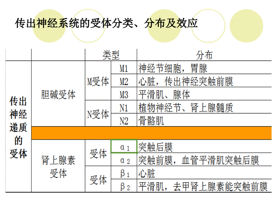 传出神经系统药汇总_第4页