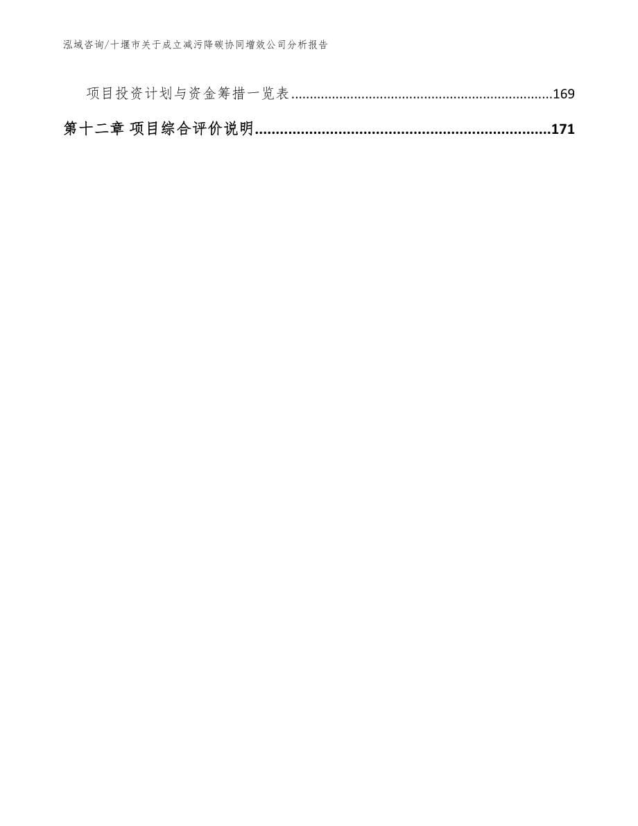 十堰市关于成立减污降碳协同增效公司分析报告（模板）_第5页