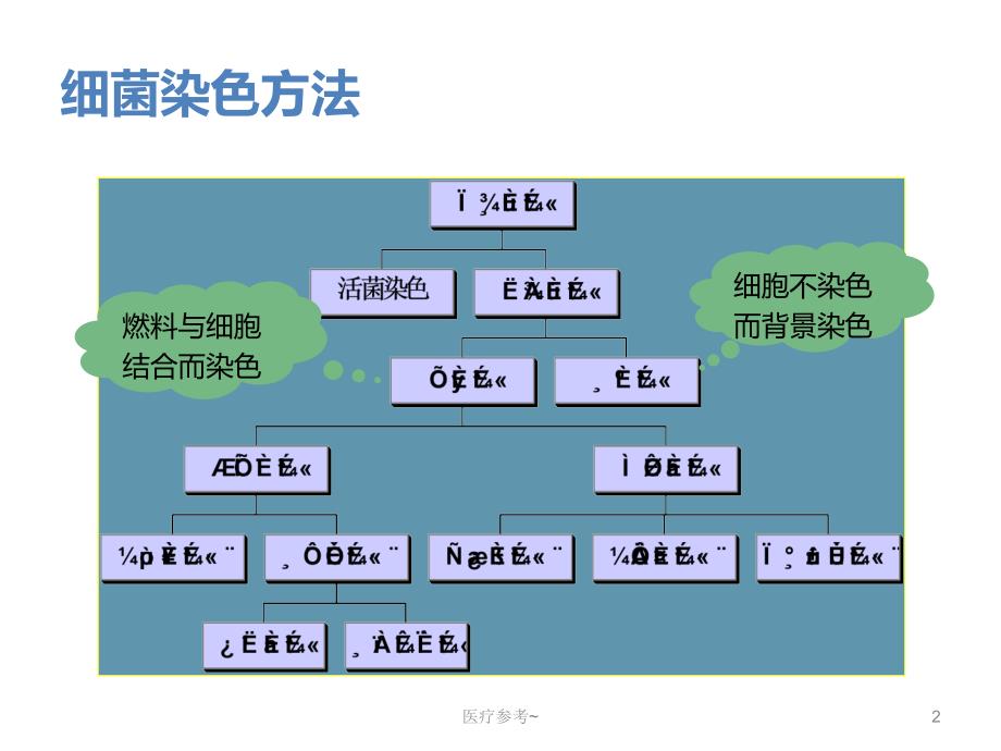 细菌染色技术【优选资料】_第2页