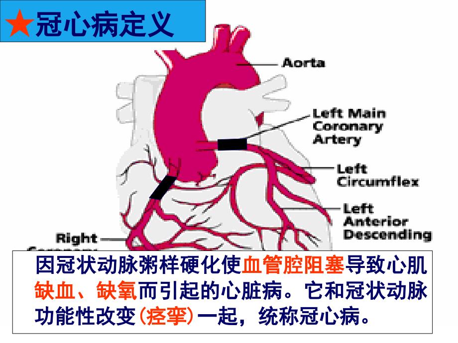 内科护理冠状动脉硬化性心脏病的护理课件_第4页