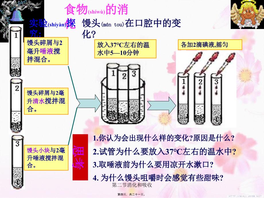 第二节消化和吸收课件_第4页