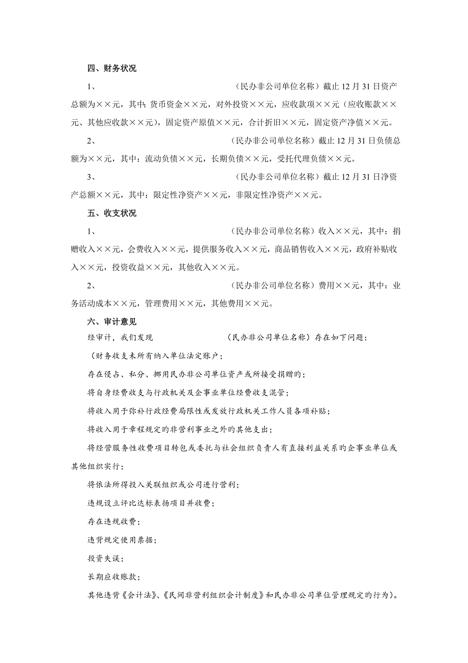 民办非企业单位审计报告模版_第3页